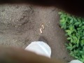 IMG_20261005_101354