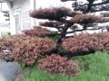 IMG_20261005_104713