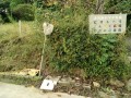 IMG_20261006_084522