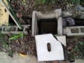 IMG_20261006_084530