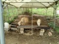 IMG_20261006_084741