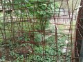 IMG_20261006_084749