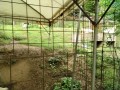 IMG_20261006_084751