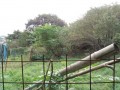 IMG_20261006_084908