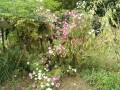 IMG_20261006_090529