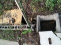 IMG_20261007_081841