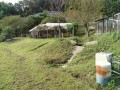 IMG_20261007_081957