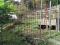 IMG_20261007_082037