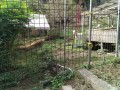 IMG_20261007_082105