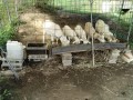 IMG_20261007_082249