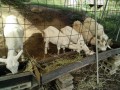 IMG_20261007_082318