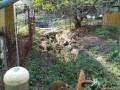IMG_20261007_082322
