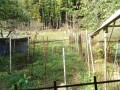IMG_20261007_082328