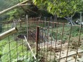 IMG_20261007_082337