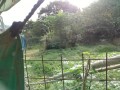IMG_20261007_082339