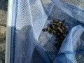 IMG_20261007_093022