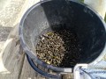 IMG_20261007_093024