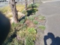 IMG_20261007_100320