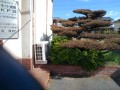 IMG_20261007_100410