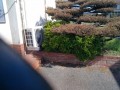 IMG_20261007_100411