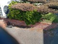 IMG_20261007_100413