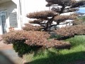 IMG_20261007_100421