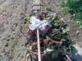 IMG_20261007_124215