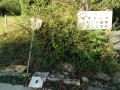 IMG_20261008_080134