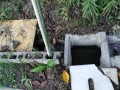 IMG_20261008_080139