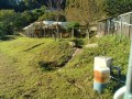 IMG_20261008_080203