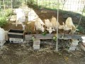 IMG_20261008_080737