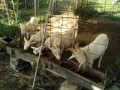IMG_20261008_080744