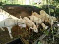IMG_20261008_080750