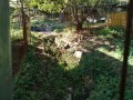 IMG_20261008_080756