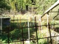 IMG_20261008_080802