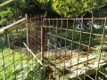 IMG_20261008_080812