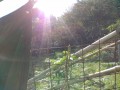 IMG_20261008_080814