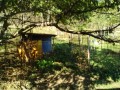 IMG_20261008_080817