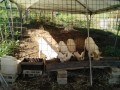 IMG_20261009_090453
