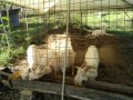 IMG_20261009_090507