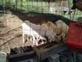 IMG_20261009_090538