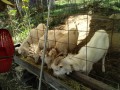 IMG_20261009_090548