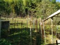 IMG_20261009_090716