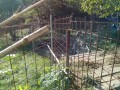IMG_20261009_090753
