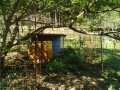 IMG_20261009_090758