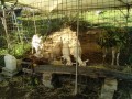 IMG_20261010_083227
