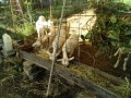 IMG_20261010_083233