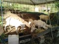 IMG_20261010_083259