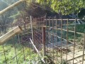 IMG_20261010_083320