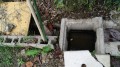 IMG_20261012_090246